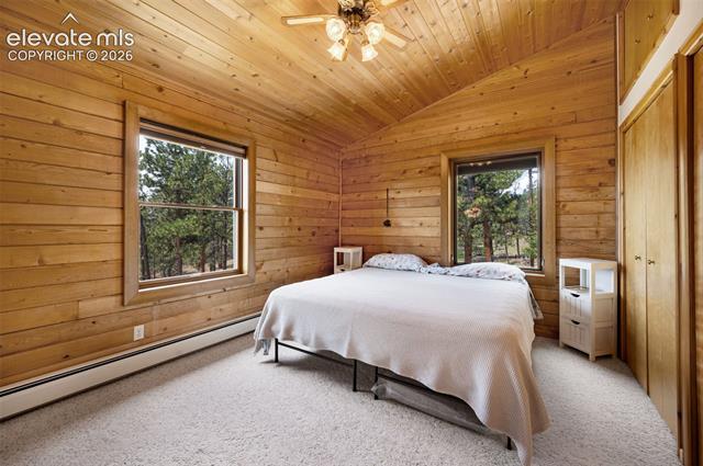 MLS Image for 187  Thunder Ridge  ,Florissant, Colorado