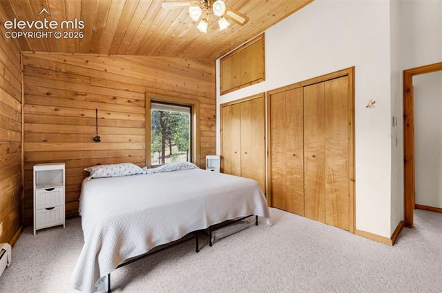 MLS Image for 187  Thunder Ridge  ,Florissant, Colorado