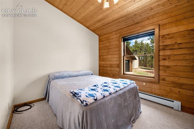 MLS Image for 187  Thunder Ridge  ,Florissant, Colorado