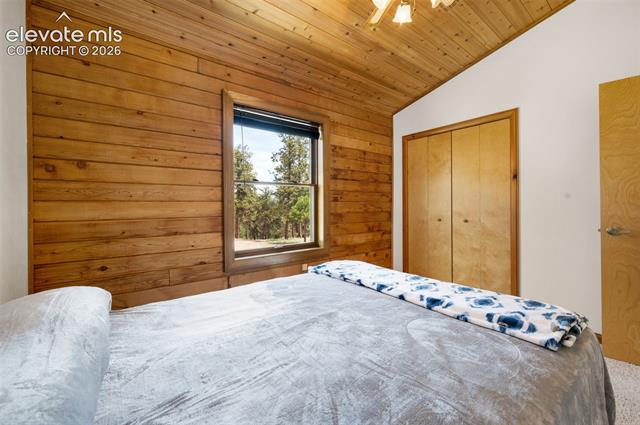 MLS Image for 187  Thunder Ridge  ,Florissant, Colorado