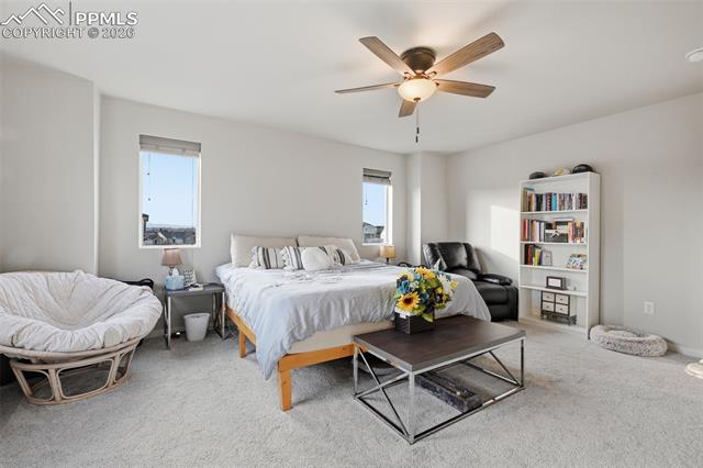 MLS Image for 5799  Tramore  ,Colorado Springs, Colorado