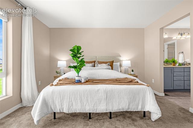 MLS Image for 11325  Modern Meadow  ,Colorado Springs, Colorado