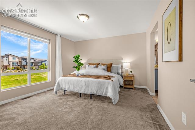MLS Image for 11325  Modern Meadow  ,Colorado Springs, Colorado