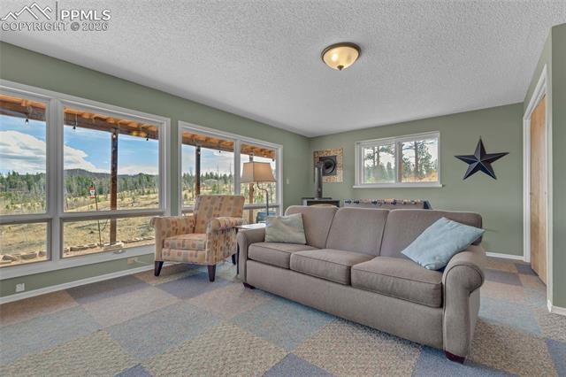 MLS Image for 81  Hedges  ,Woodland Park, Colorado