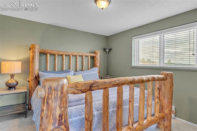 MLS Image for 81  Hedges  ,Woodland Park, Colorado