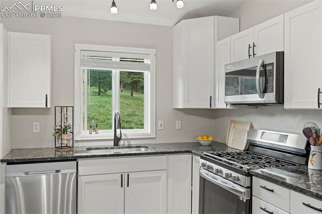 MLS Image for 255  Twin Lakes  ,Divide, Colorado