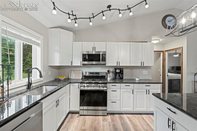 MLS Image for 255  Twin Lakes  ,Divide, Colorado