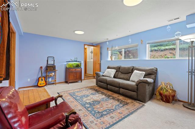 MLS Image for 255  Twin Lakes  ,Divide, Colorado