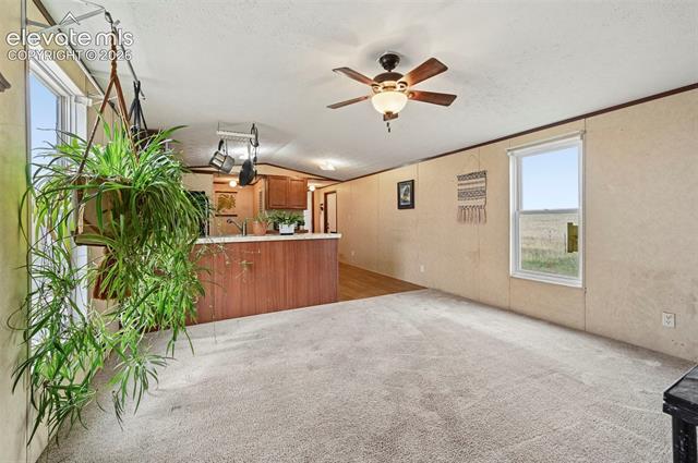 MLS Image for 38115  Alta Vista  ,Calhan, Colorado