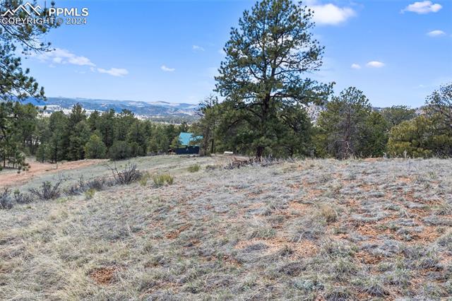 MLS Image for 145  Sioux  ,Florissant, Colorado