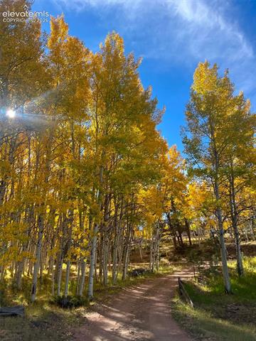 MLS Image for 82 S Mountain Estates  ,Florissant, Colorado