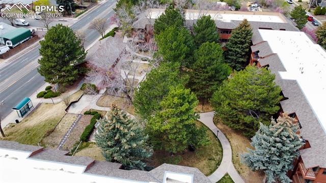 MLS Image for 2450  Palmer Park  302 ,Colorado Springs, Colorado