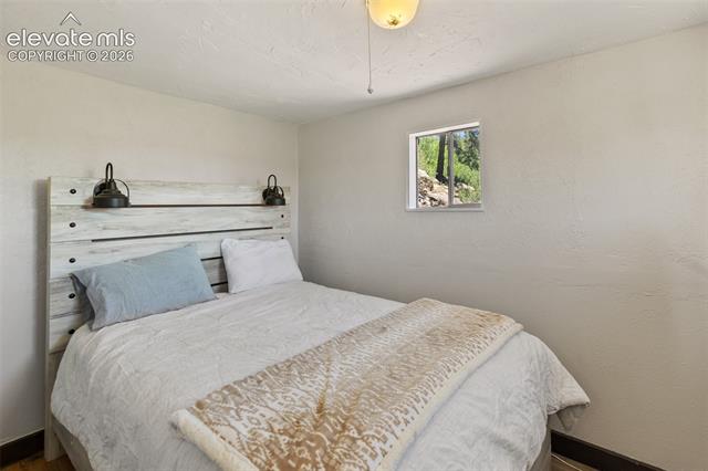 MLS Image for 185  Canyon  ,Florissant, Colorado