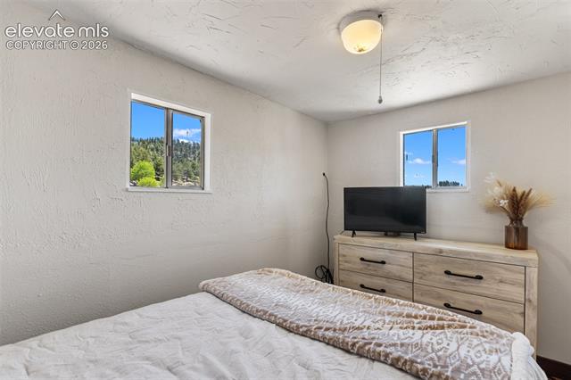 MLS Image for 185  Canyon  ,Florissant, Colorado