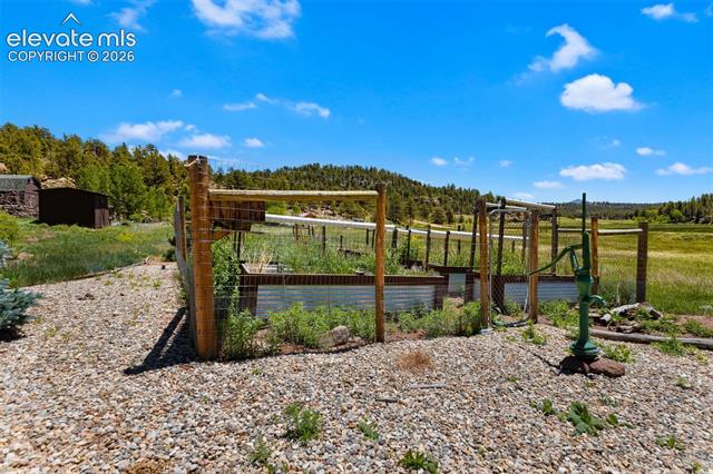 MLS Image for 185  Canyon  ,Florissant, Colorado
