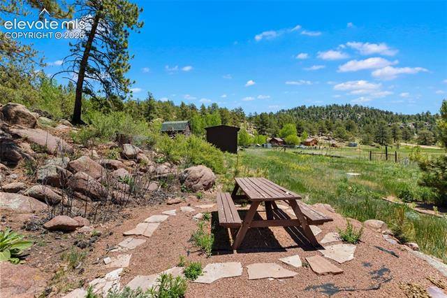 MLS Image for 185  Canyon  ,Florissant, Colorado