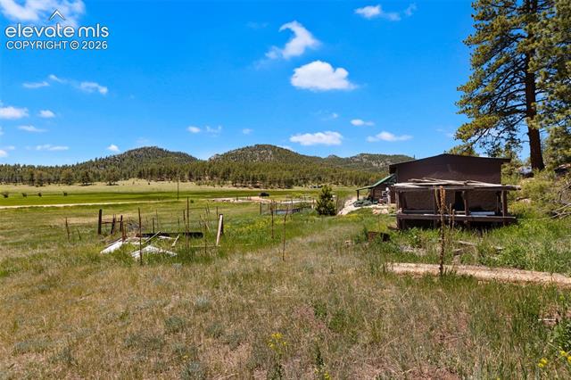 MLS Image for 185  Canyon  ,Florissant, Colorado