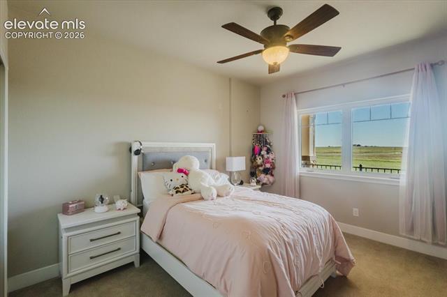 MLS Image for 16525  Judge Orr  ,Peyton, Colorado