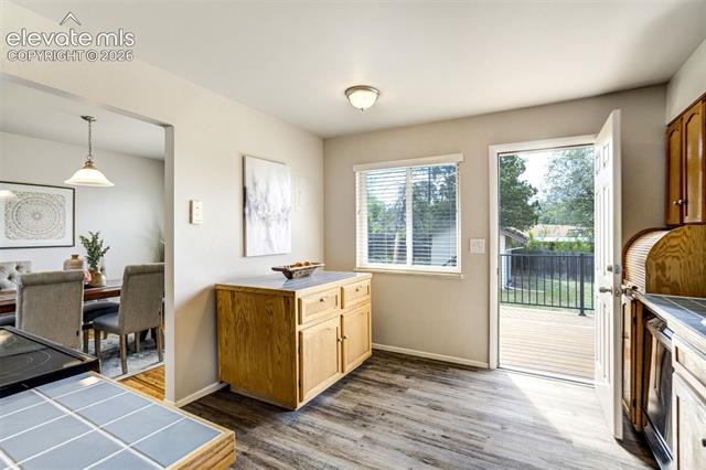 MLS Image for 1139  Server  ,Colorado Springs, Colorado
