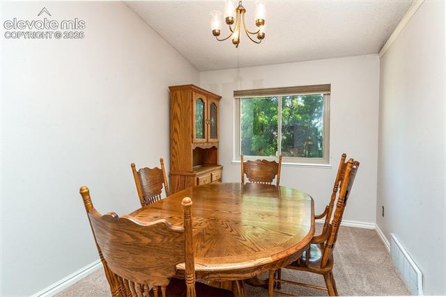 MLS Image for 8055  Candleflower  ,Colorado Springs, Colorado