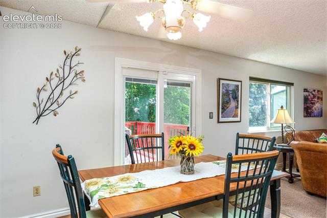 MLS Image for 8055  Candleflower  ,Colorado Springs, Colorado