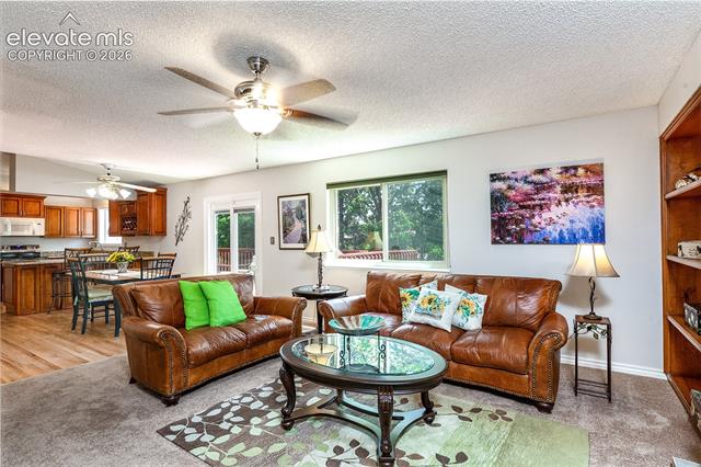 MLS Image for 8055  Candleflower  ,Colorado Springs, Colorado