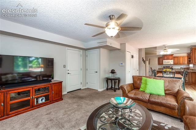 MLS Image for 8055  Candleflower  ,Colorado Springs, Colorado