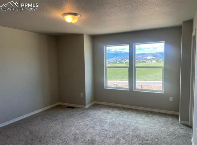 MLS Image for 8462  Noreen Falls  ,Colorado Springs, Colorado