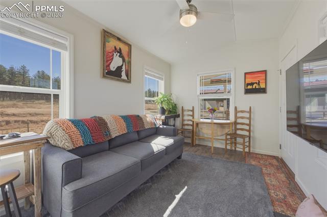 MLS Image for 1311  Calm Mountain  ,Woodland Park, Colorado