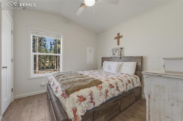 MLS Image for 1311  Calm Mountain  ,Woodland Park, Colorado