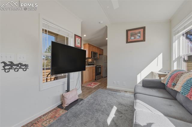 MLS Image for 1311  Calm Mountain  ,Woodland Park, Colorado