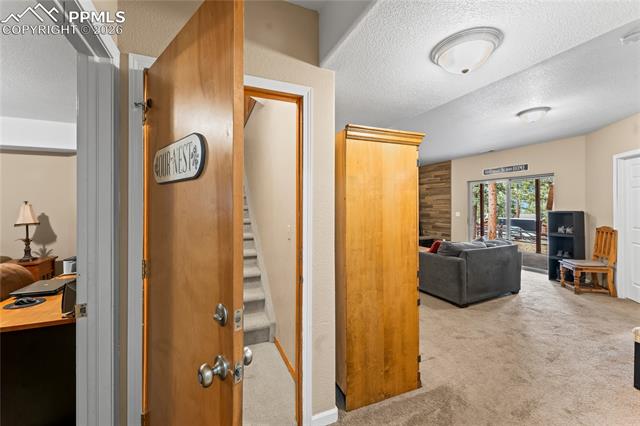 MLS Image for 1308  Spruce Ridge  ,Woodland Park, Colorado