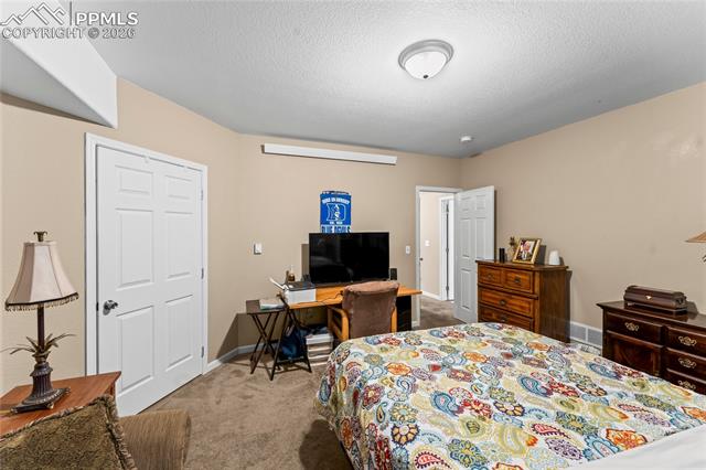 MLS Image for 1308  Spruce Ridge  ,Woodland Park, Colorado