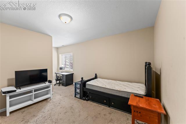 MLS Image for 1308  Spruce Ridge  ,Woodland Park, Colorado