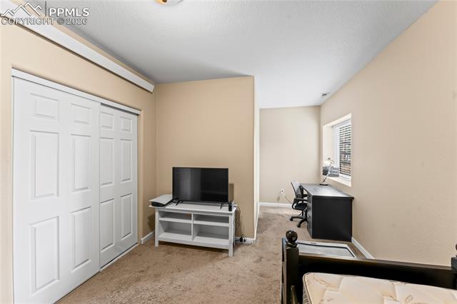 MLS Image for 1308  Spruce Ridge  ,Woodland Park, Colorado