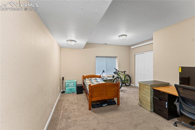 MLS Image for 1308  Spruce Ridge  ,Woodland Park, Colorado