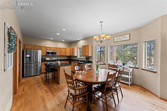 MLS Image for 1308  Spruce Ridge  ,Woodland Park, Colorado