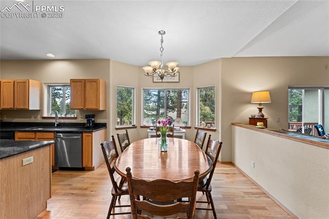 MLS Image for 1308  Spruce Ridge  ,Woodland Park, Colorado