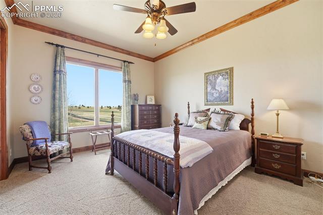 MLS Image for 16329  Open Sky  ,Colorado Springs, Colorado