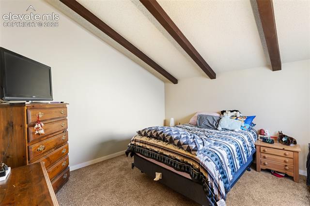 MLS Image for 5029  Secota   ,Colorado Springs, Colorado
