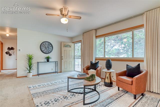 MLS Image for 2121  Downing  ,Colorado Springs, Colorado