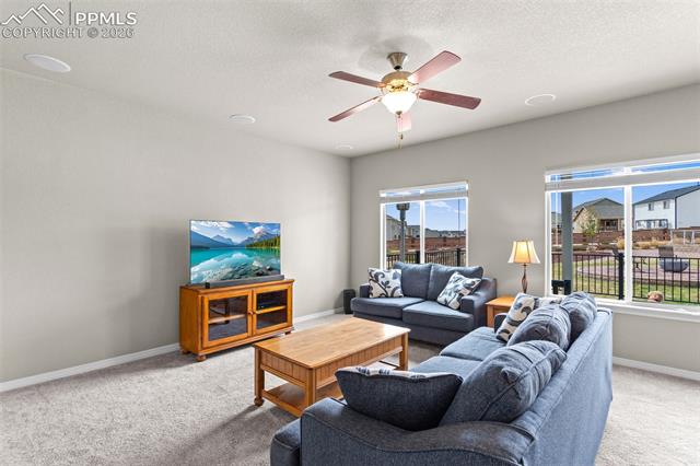 MLS Image for 6719  Black Saddle  ,Colorado Springs, Colorado