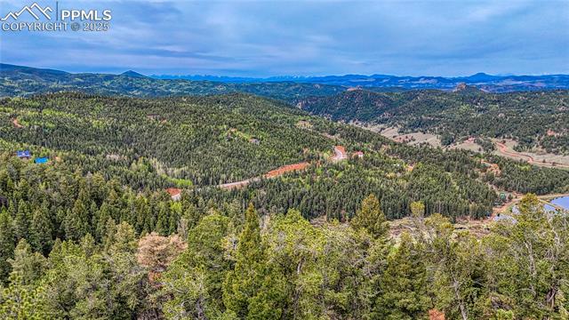 MLS Image for 18766  Highway 67  ,Divide, Colorado