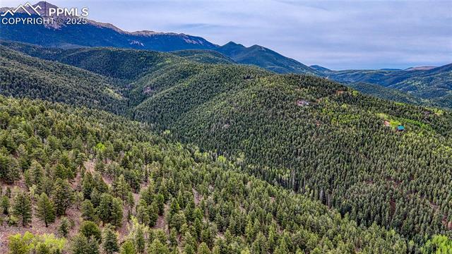 MLS Image for 18766  Highway 67  ,Divide, Colorado