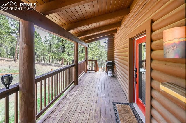 MLS Image for 78  Barr Lake  ,Divide, Colorado
