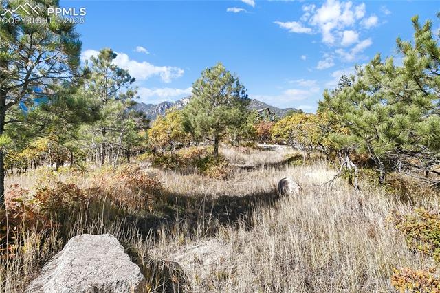 MLS Image for 4688  Stone Manor  ,Colorado Springs, Colorado
