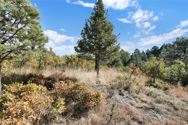 MLS Image for 4688  Stone Manor  ,Colorado Springs, Colorado