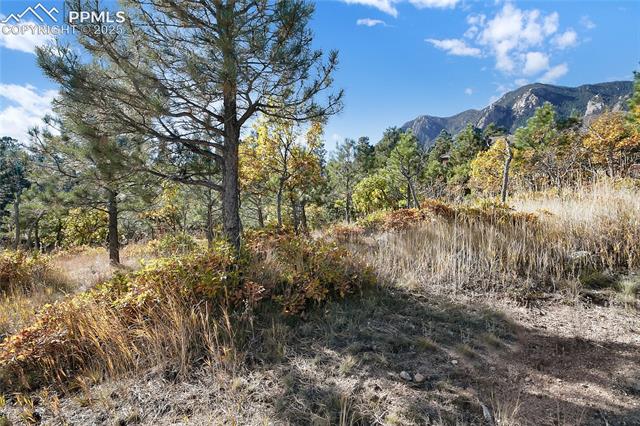 MLS Image for 4688  Stone Manor  ,Colorado Springs, Colorado