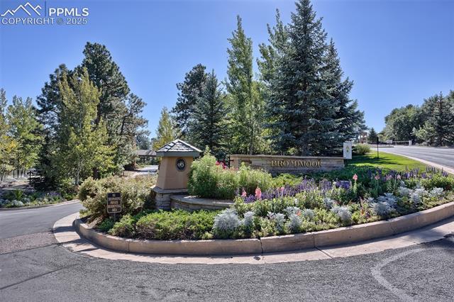MLS Image for 4688  Stone Manor  ,Colorado Springs, Colorado