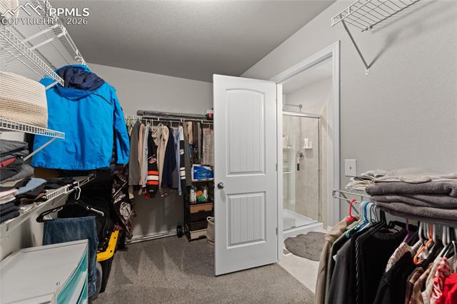 MLS Image for 8172  Basaltic  ,Colorado Springs, Colorado